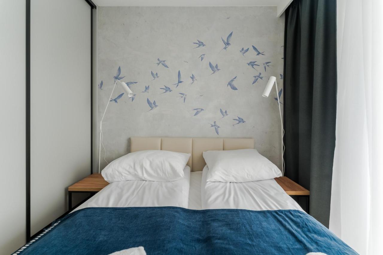 Birds Surfingbird *